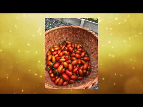 นิทรรศการ 47 ปี สปก เกษตรเชิงท่องเที่ยว ''ฟาร์มลุงแดง''