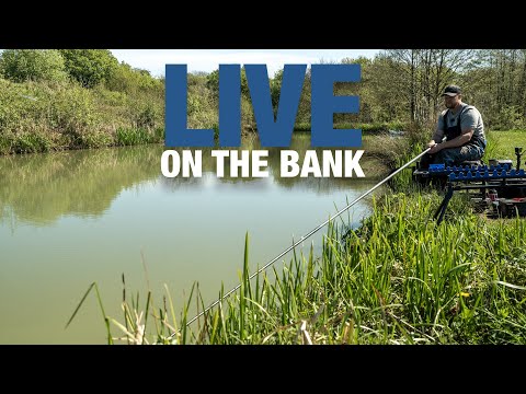 LIVE On The Bank with Andy May
