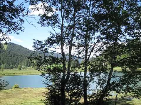 Schweizer Familie Feuerstelle - Lauenen