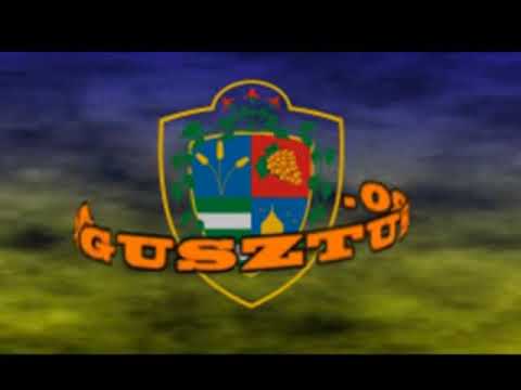 Búcsú Dunaharasztin 2012 - Kempo bemutató  (2013. 37. hét)