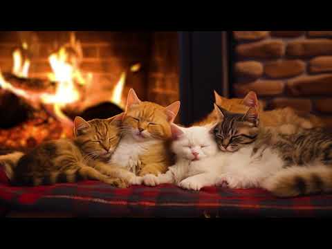 The Purring of Sleeping Kittens under a warm Fireplace 🔥 Relax and Sleep