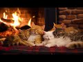 The Purring Of Sleeping Kittens Under A Warm Fireplace Relax And Sleep