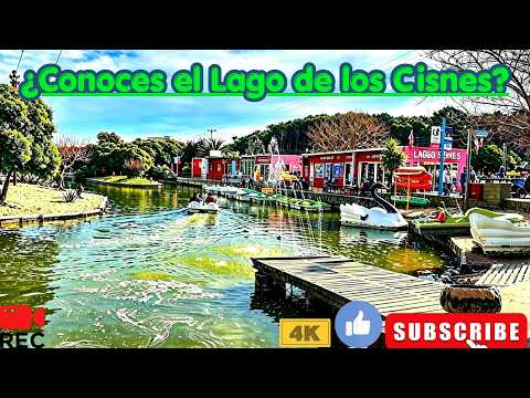 Visitamos El Lago de los Cisnes