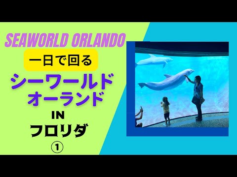 クラーケン (シーワールド オーランド) 01.jpg