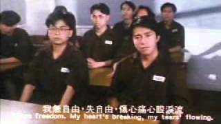 再見我的恐龍,跟你初戀也不枉!(八)