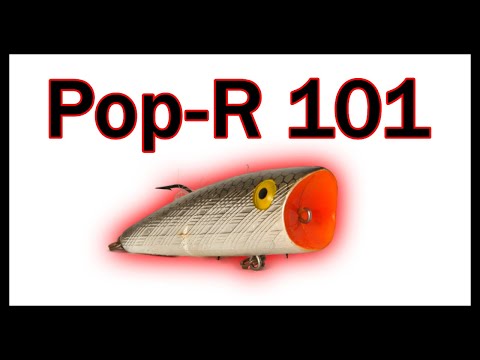 How to Fish a Pop-R | Fishing For Beginners
