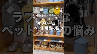 #犬グッズ #ダイソー　がすごい#マルチーズ #犬のいる暮らし