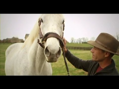 Jockey Gary Stevens Visits Silver Charm