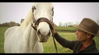 Jockey Gary Stevens Visits Silver Charm