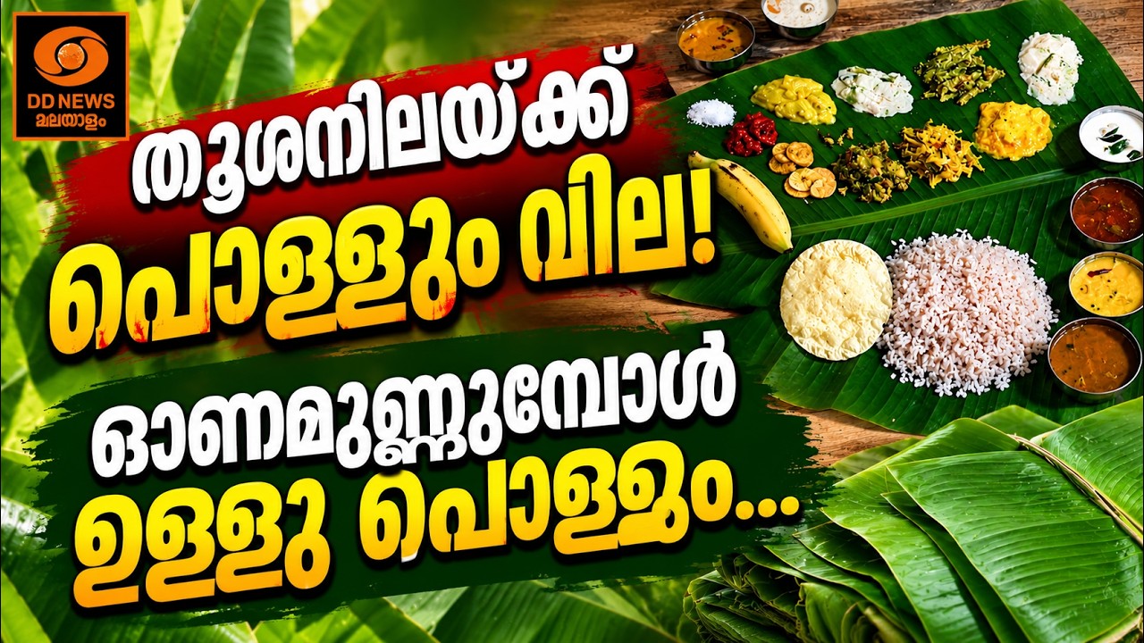 തൂശനിലയ്ക്ക് പൊള്ളും വില! ഓണമുണ്ണുമ്പോൾ ഉള്ളു പൊള്?