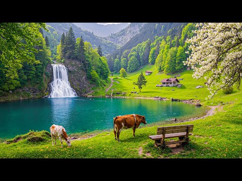Restore Your Nervous System 🍀 Beautiful Relaxing Music for Stress Relief, Stop Overthinking