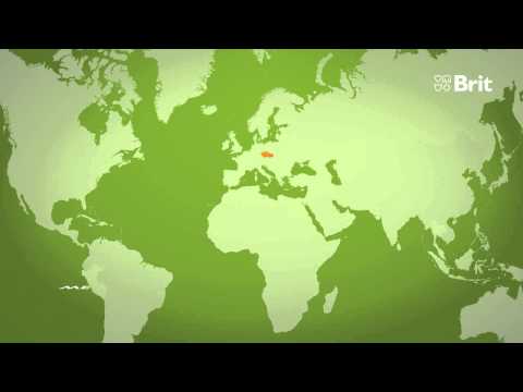 BRIT - firemní prezentace