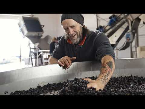 STROOPWAFFLE EPISODE 24 BROOKS WINERY 91720