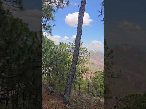 el cerro de gachipin magdalena peñasco y san Antonio Sinicahua