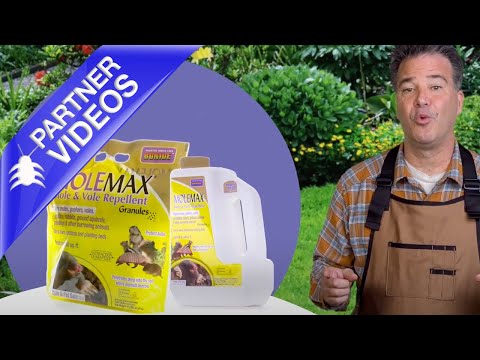  Bonide MOLEMAX Granules Video 