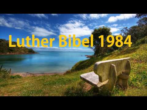 42- Das Evangelium nach Lukas