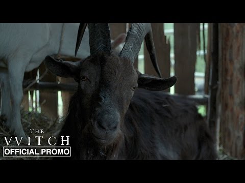 The Witch | Black Phillip | Official Promo HD | A24