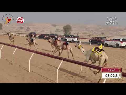  ش 10 (رامي) لـ حران راشد سيف الغفلي 7:57 , شارة الديوان 2 2026/09/27 ايذاع اللبسه 