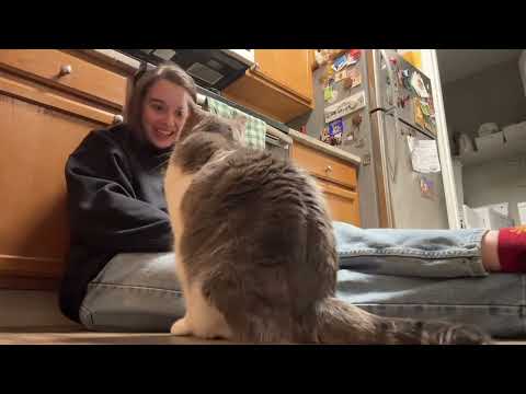 ME AND MY BEAUX – ALIA WILLIAMS