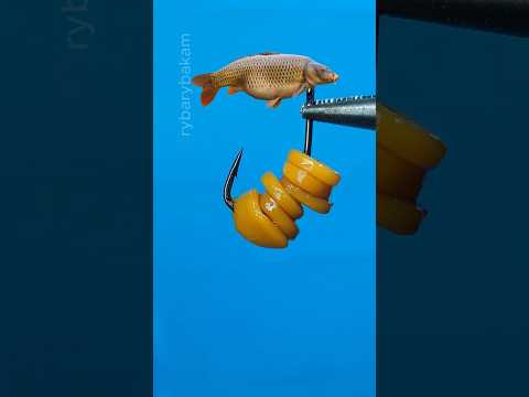 Title: How to Rig Pasta for Huge Carp! 🤫  #fishing