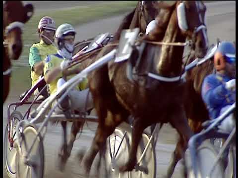 Trotto 29/10/2019 - 3ª corsa