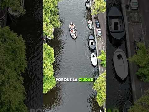 Los autos se caen al agua