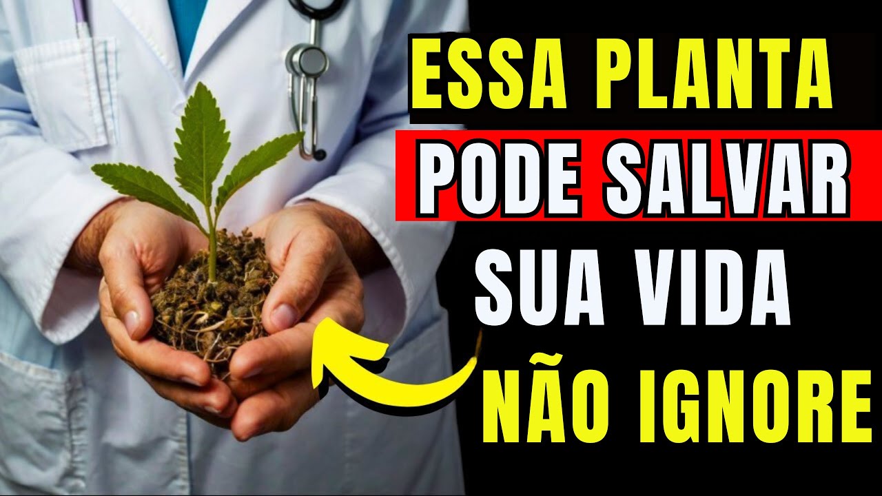 12 Plantas MEDICINAIS e MILAGROSAS Que Você Deve Ter Na Sua CASA (Parte 1)