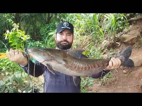 Pescaria no rio barão do Melgaço em Pimenta Bueno Rondônia com e meu amigo @PescaeDicas35 
