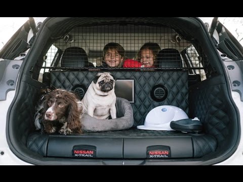Nissan X Trail 4Dogs concept The ultimate SUV for dog owners