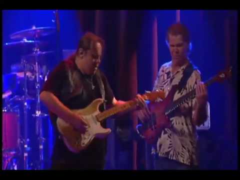 Walter Trout Performs 