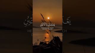 Beautiful Quran Recitation