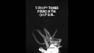 Download lagu The ocean is both fascinating… and absolutely terrifying - part 3! 🦑🐡🪼 mp3