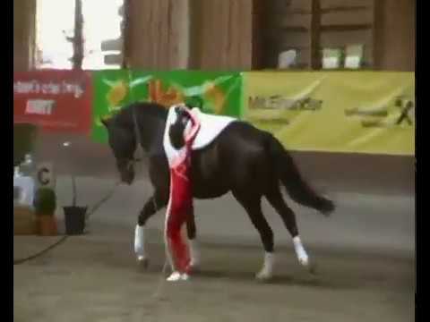 Ingelsberg 4 Dornbirn Pflicht 2009