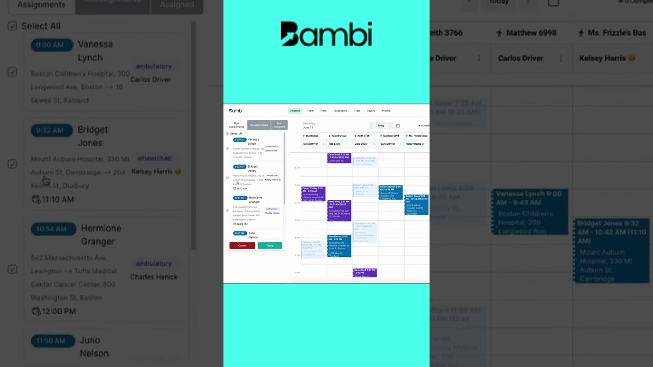 🚀 Introducing the Simplicity of Bambi! 🚀 #nemt #nemtsoftware #runbambirun