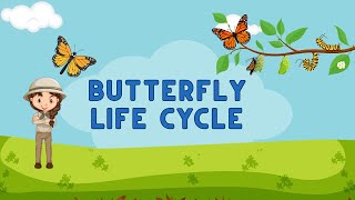 caterpillar life cycle for kids | kids science education
