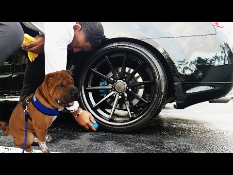 DO NOT USE ANYTHING ELSE!! |Revealing My Secret On What I Use On My Car