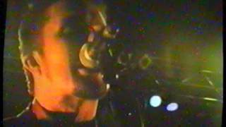 Pollyanna &quot;Feeding Circle&quot; Live