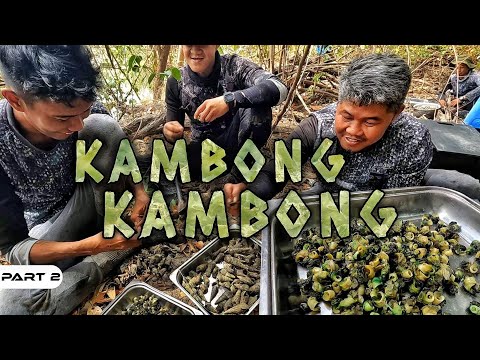 EP897-P2 - Kambong Kambong Forage and Cook
