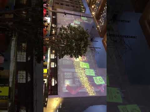 New Zealand,Auckland -Christmas light show 2021