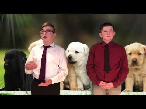 Glenny Science Fair 2020 2021