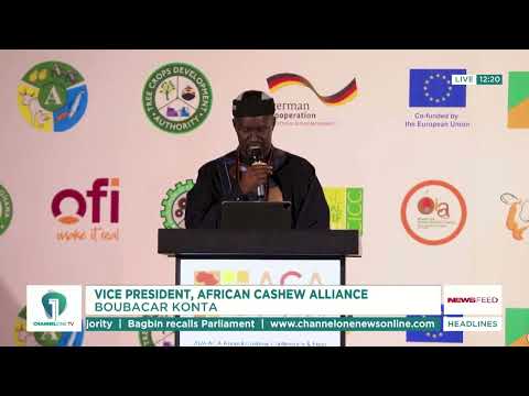 African Cashew Alliance Calls for Stronger Policies and Investment