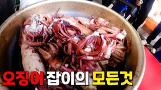 오징어 잡는 방법 (feat.오징어 낚시)