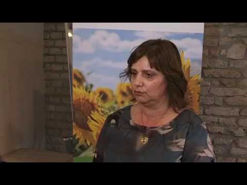 Sistematičan razvoj socijalnog preduzetništva na teritoriji AP Vojvodine