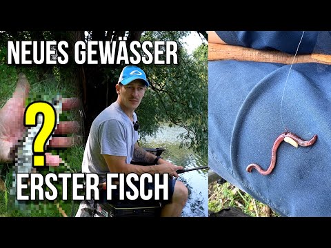 Neues Gewässer = so gehe ich vor !