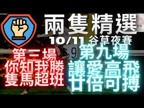 週三賽日提供：尾場讓愛高飛型格唔錯，20倍好抵搏！（2021年11月10日 谷草夜賽）