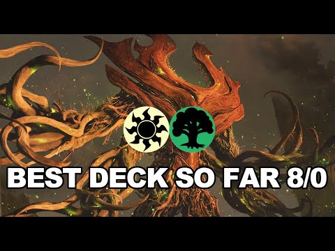 Selesnya Stompy GOD SLAYER - Standard 2022 - MTG Arena Forgotten Realms