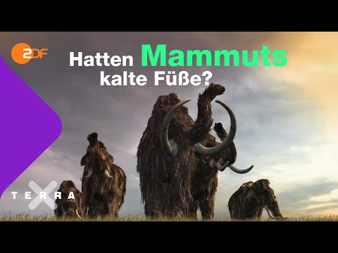 Die Kältetricks der Mammuts | Terra X plus