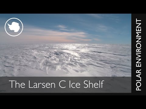The Larsen C Ice Shelf: The Thinning