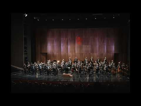 Riccardo Muti dirige i Wiener Philharmoniker