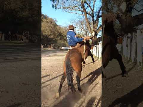 Jineteando en Quijano!!!  #campoquijano #jineteando #salta #argentina
